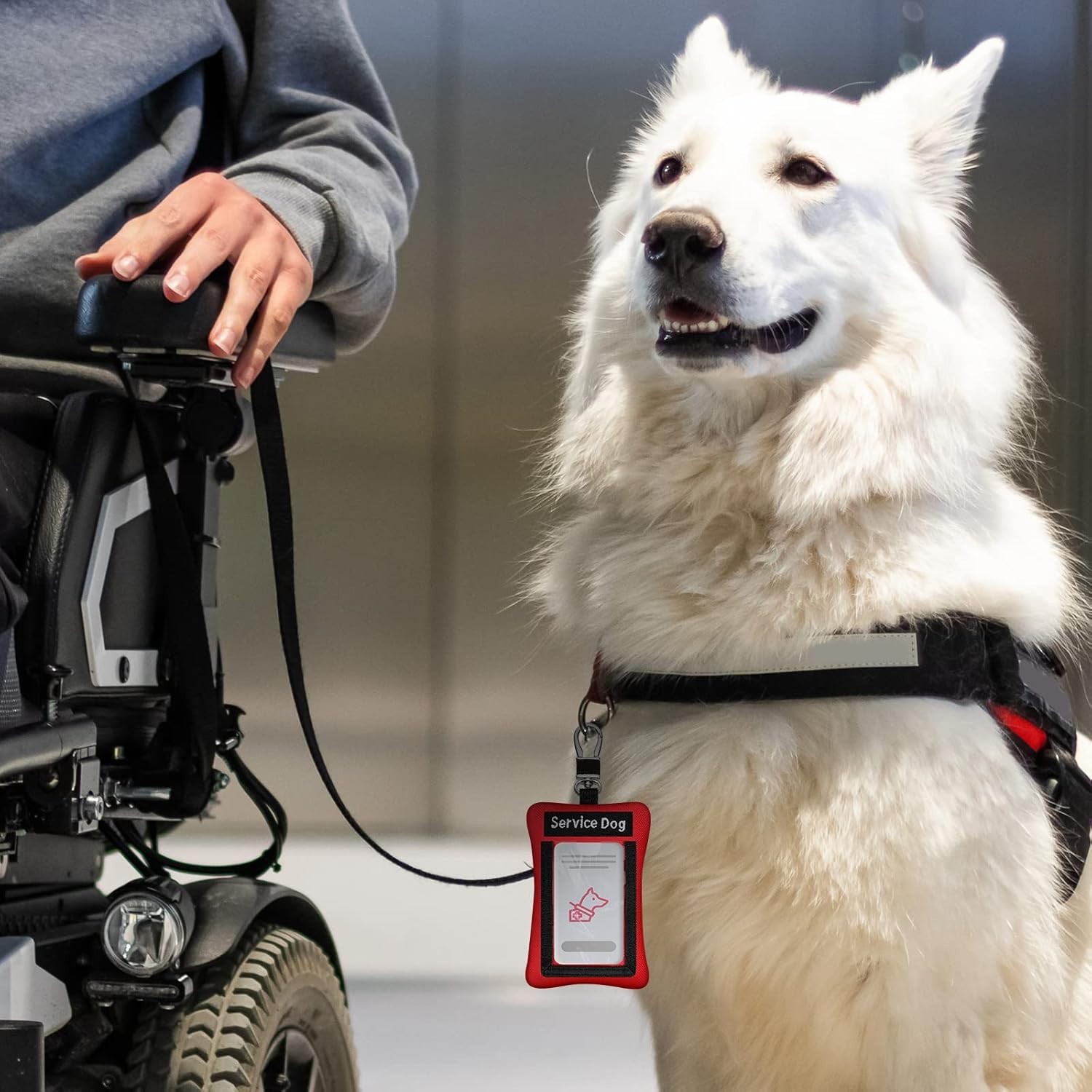 Convenient 2-Pack Service Dog ID Holders – Clip-On Design & Pouch Storage