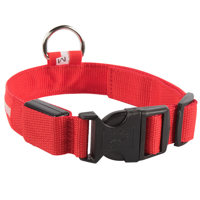 Pet Dog LED Collar Night Flashing With ID Name Tag Custom Engraved Double Side