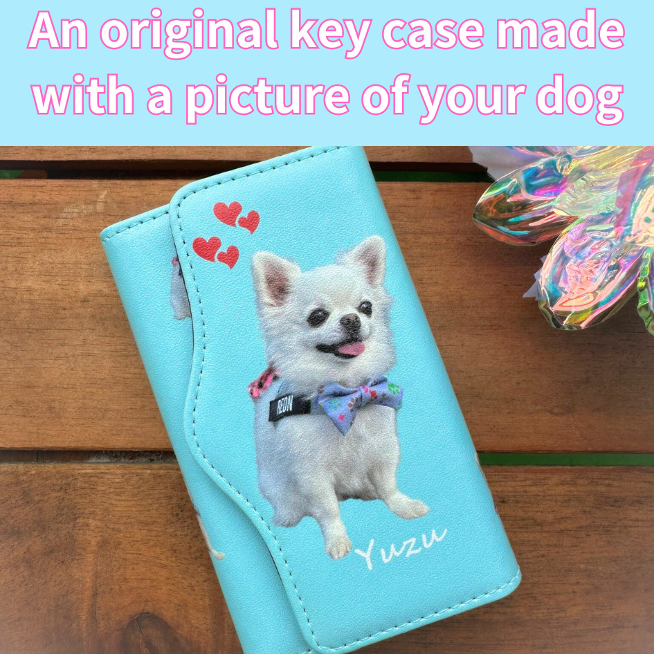 Personalized Original key case Name For Pet Dog Cat Rabbit Bird Custom Photo