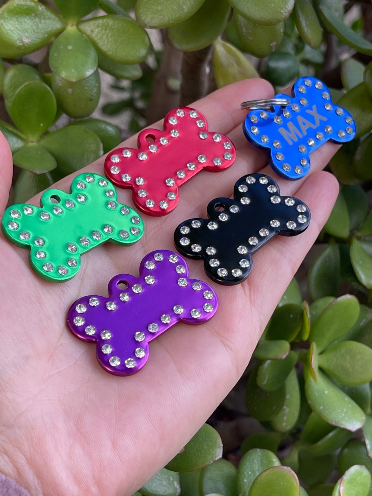 PAWPAW TAGS Dog Cat ID Tags Personalized Pet ID Tags 2sides Engraved Bone Shape