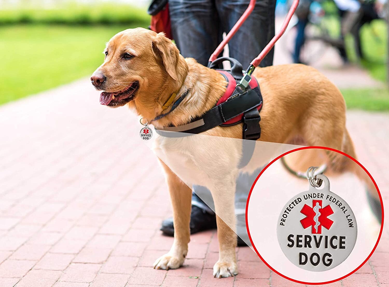 2pc set Service Dog Tags Therapy Dog ID Sturdy clasp Quick clip on/off Fast Ship