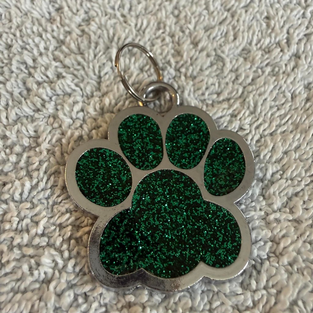 Dog Collar Tag Green Silver One Size