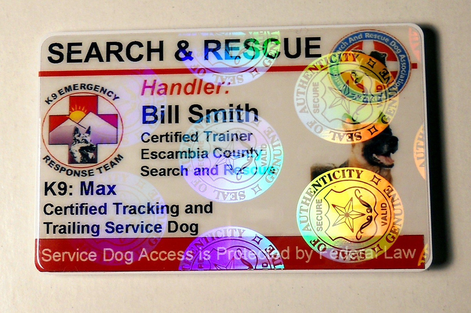 HOLOGRAPHIC SEARCH AND RESCUE SERVICE DOG ID BADGE CUSTOM CARD WORKING DOG 25