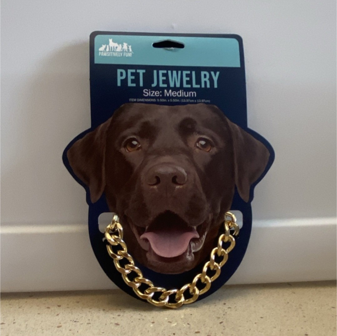 PAWSITIVELY FUN Gold Decorative Dog Collar Charm Chain Pet Jewelry Accessory
