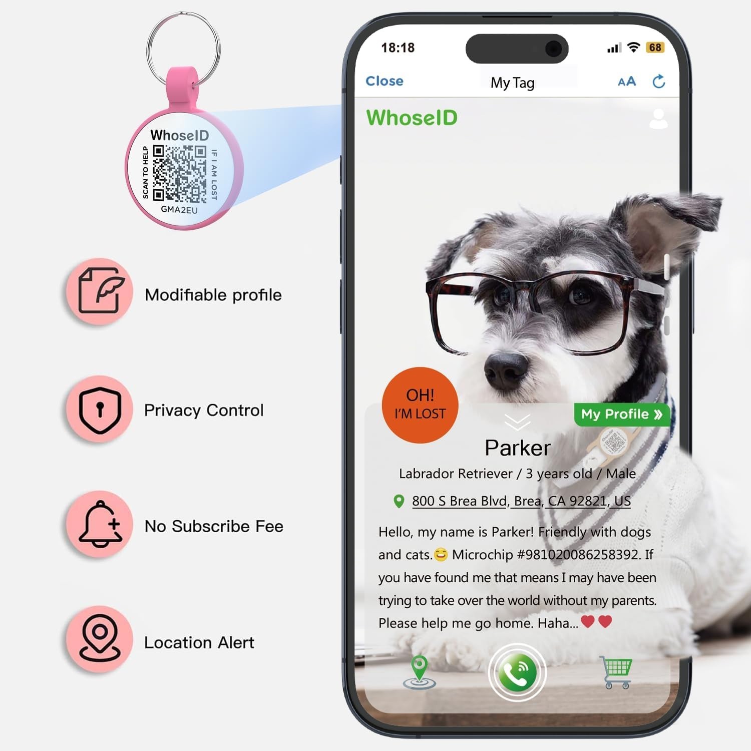 1.25″ Personalized QR Code Dog Tag – Stylish Rose for Medium to Large Breeds