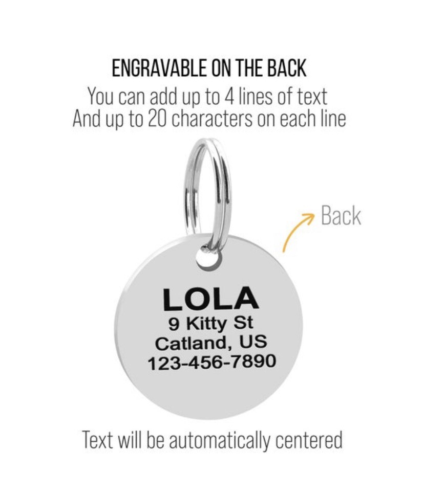 Custom Engraved Dog Tags Funny Pet ID Tag Double Sided Cat Tag Silent Tags
