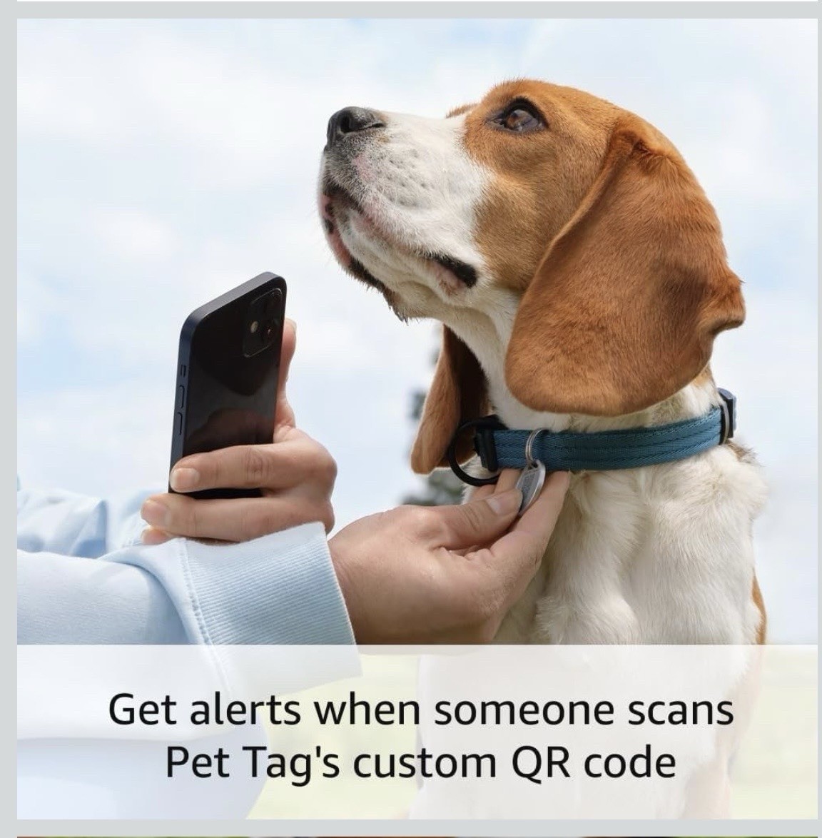 Ring Pet Tag