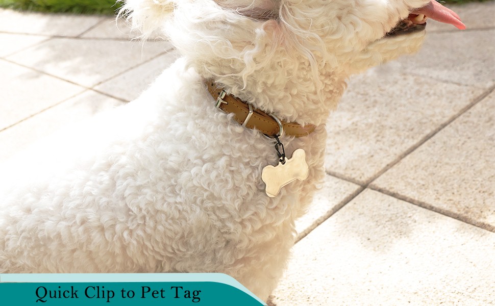 4 Pack Pet Tag Clips, Dog Rings for Pet Collar, ID Tag Quick Clips for Dogs and