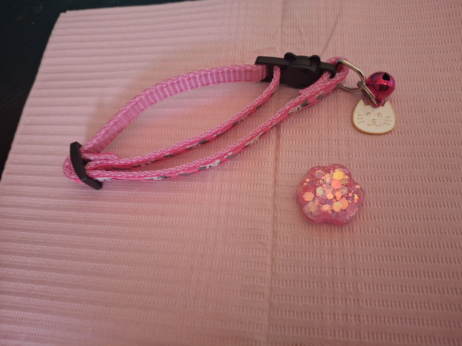 Collar personalizado para mascotas glitter