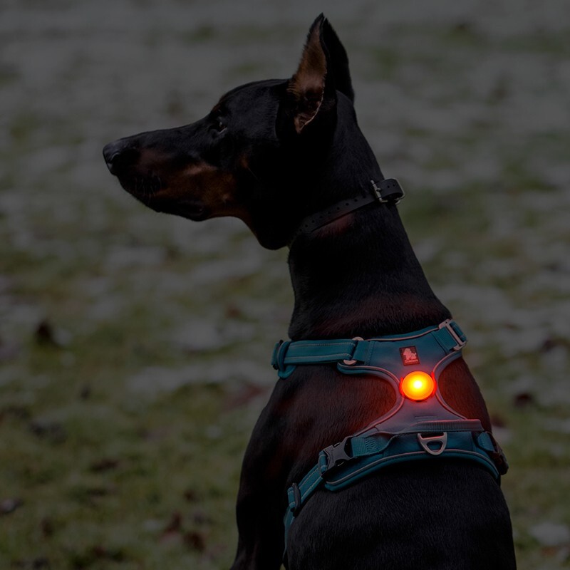 Truelove LED Light-Up Dog Harness Rechargeable IP65 Red Black Blue Green UK