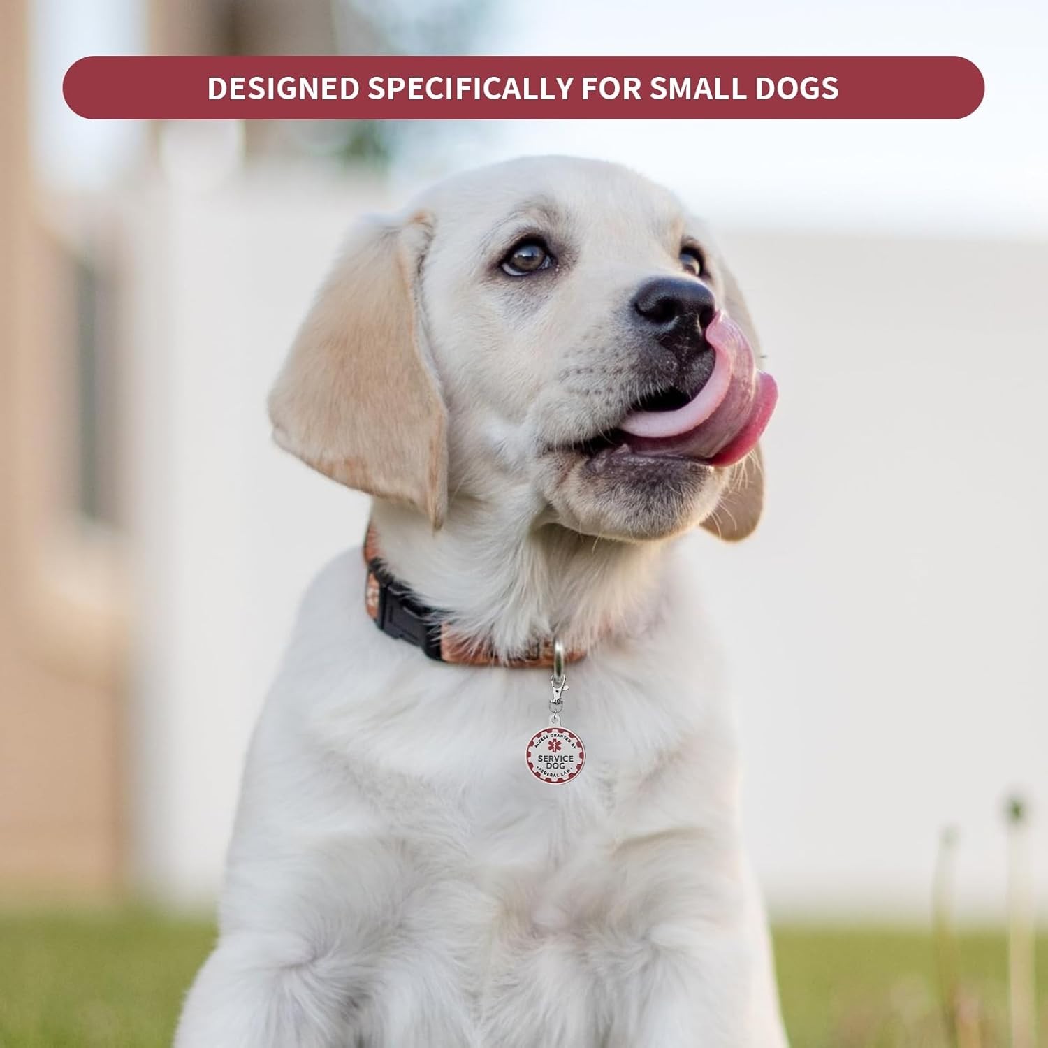 Elegant Stainless Steel Service Dog TAG – Double-Sided for Ultimate Visibility
