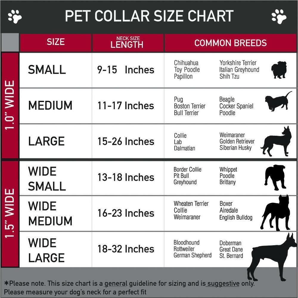Initial Letter Charm Cuban Dog Chain Pet Collar Chain Pet, Cat, Puppy Necklace
