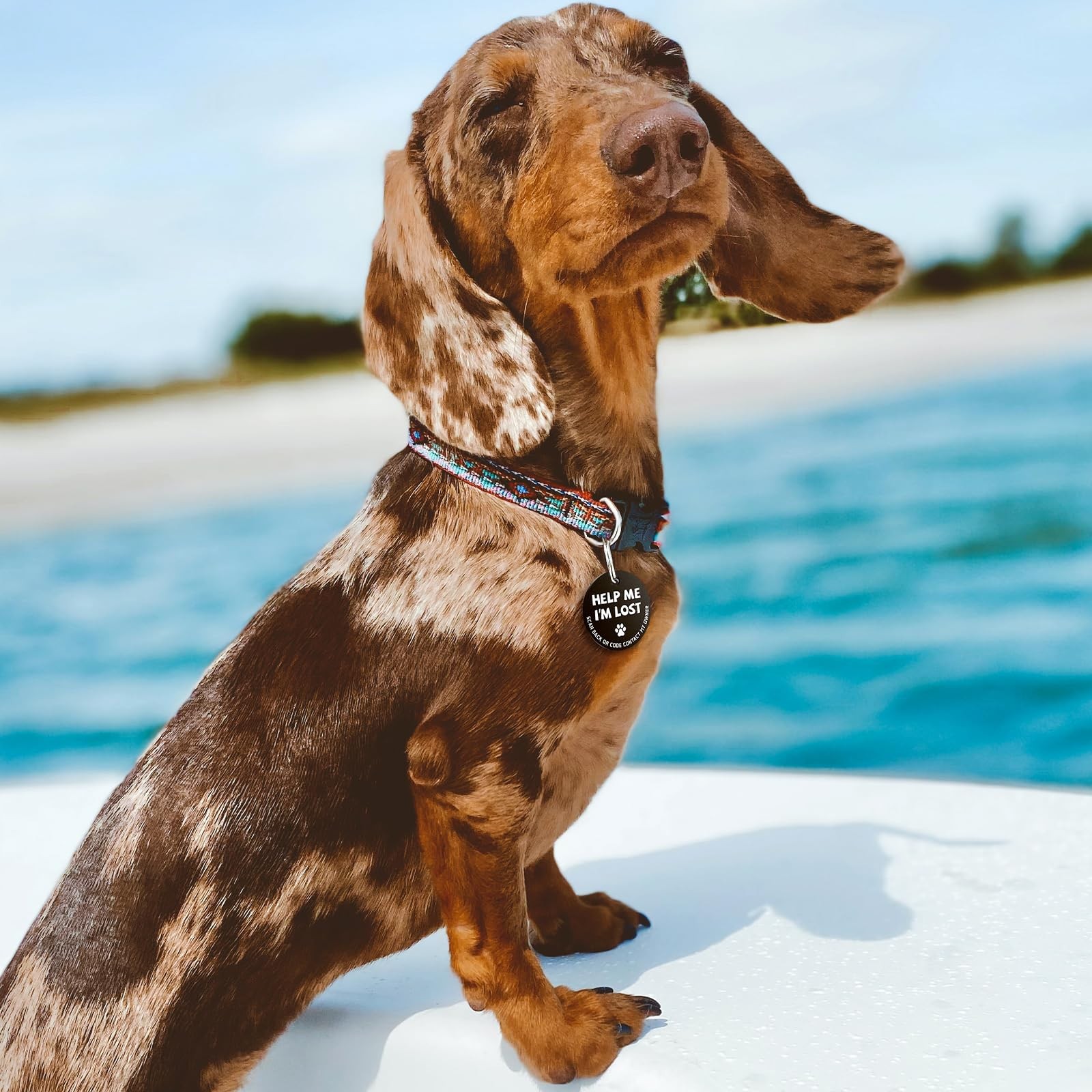 Stainless Steel QR Code Dog Tags – Scan QR for Instant Pet Location Alerts