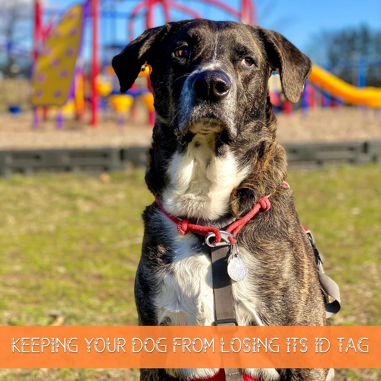 18 Pieces Leash Dog Tag Clip Pet ID Pet Tag Quick Clip Combos with Rings, Stainl