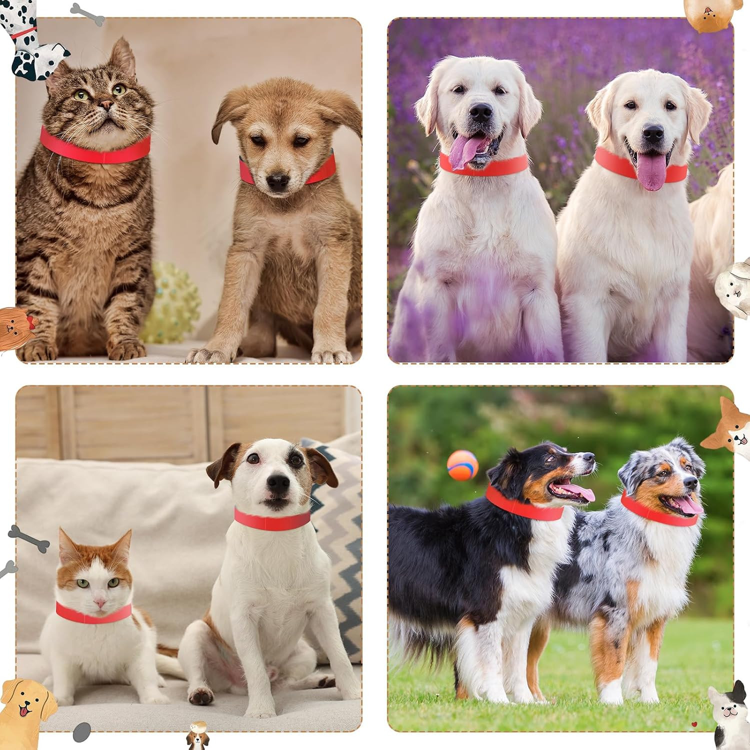 500 Count 20inch Adjustable Paper Dog Collars with Tear Resistant Waterproof …