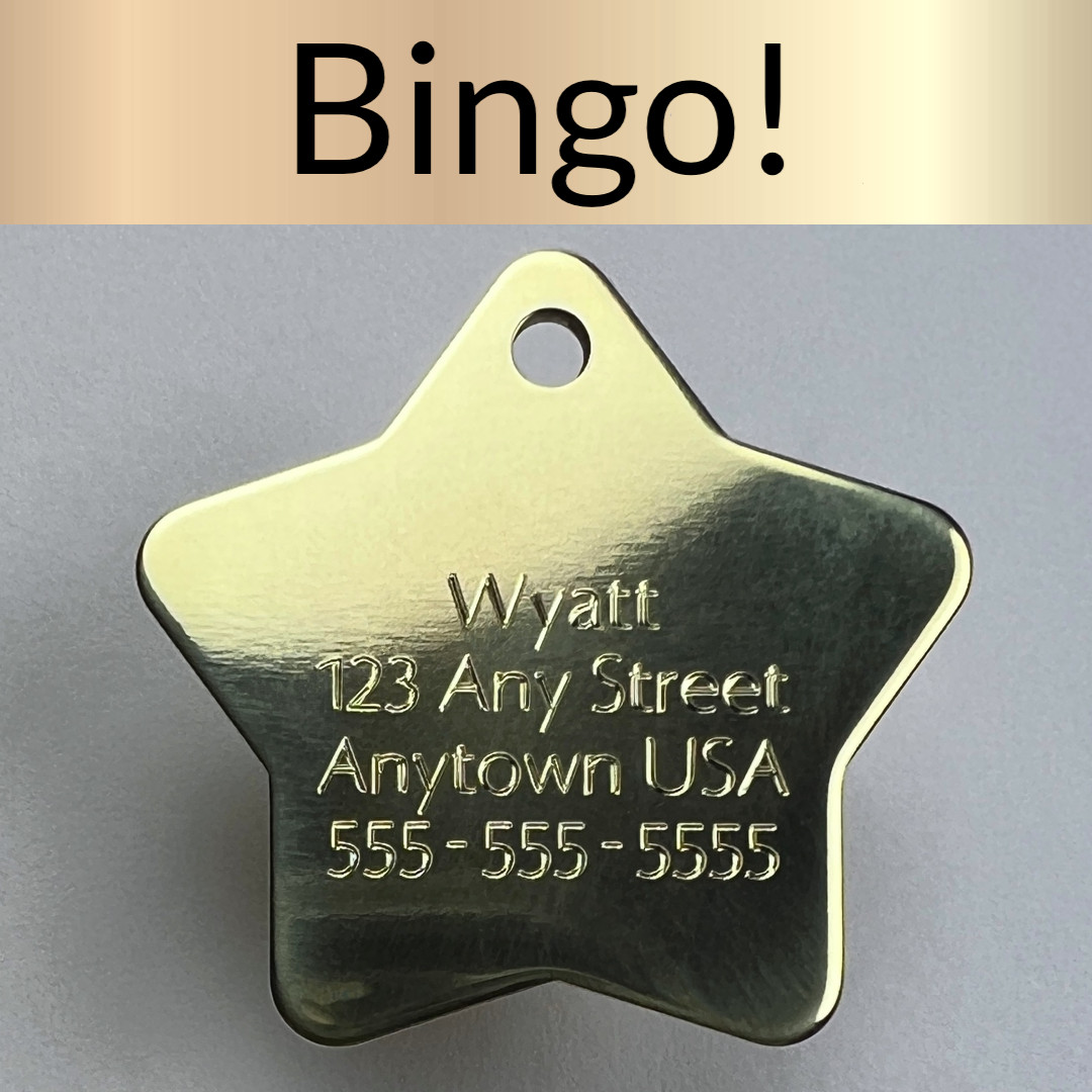 Custom Engraved Dog Tags Personalized Dog Collar Pet Tags Engraved ID BRASS STAR