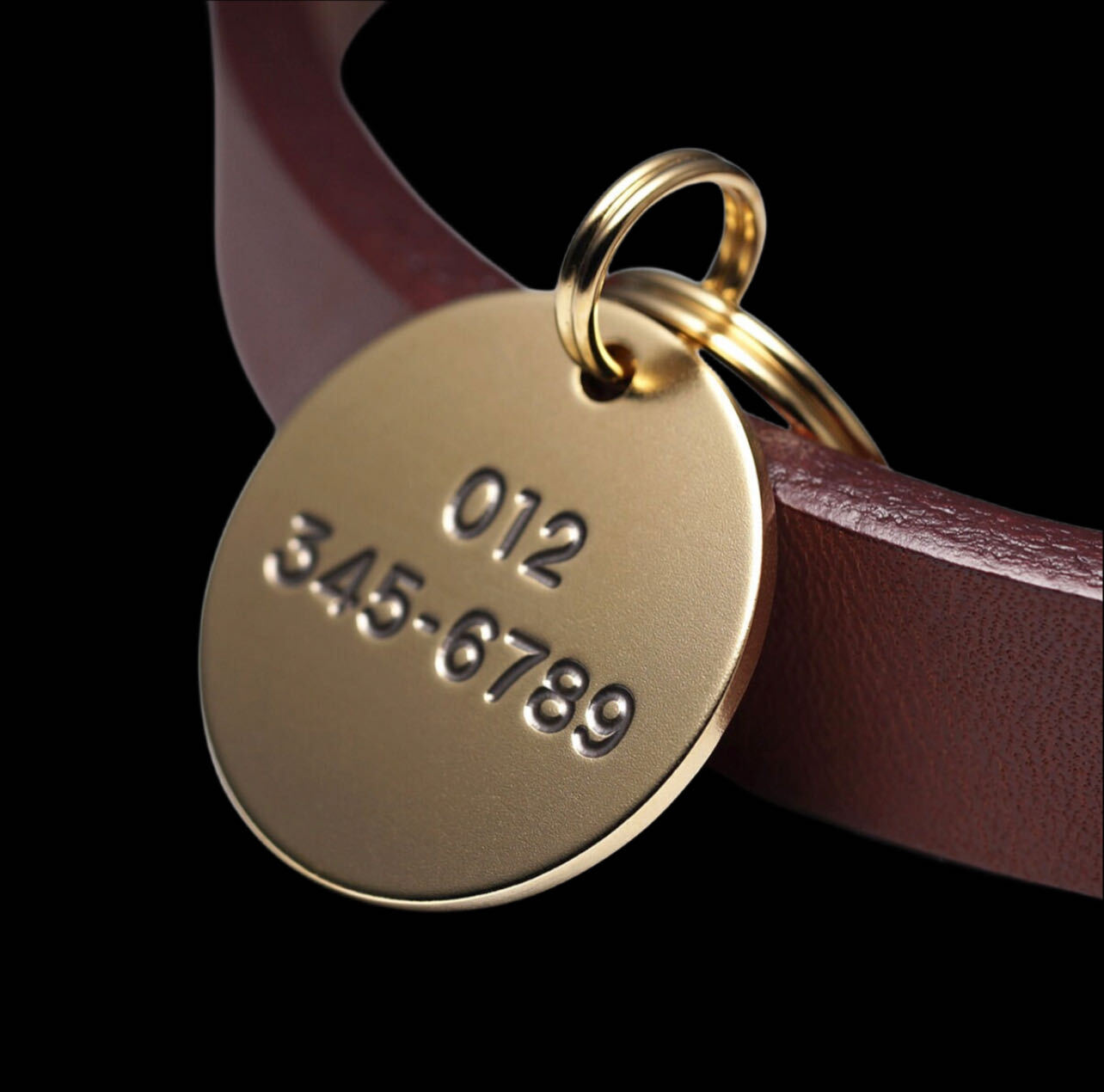 Pawtographize Solid Brass Dog Cat ID Tags Personalized Pet ID Tags Circle