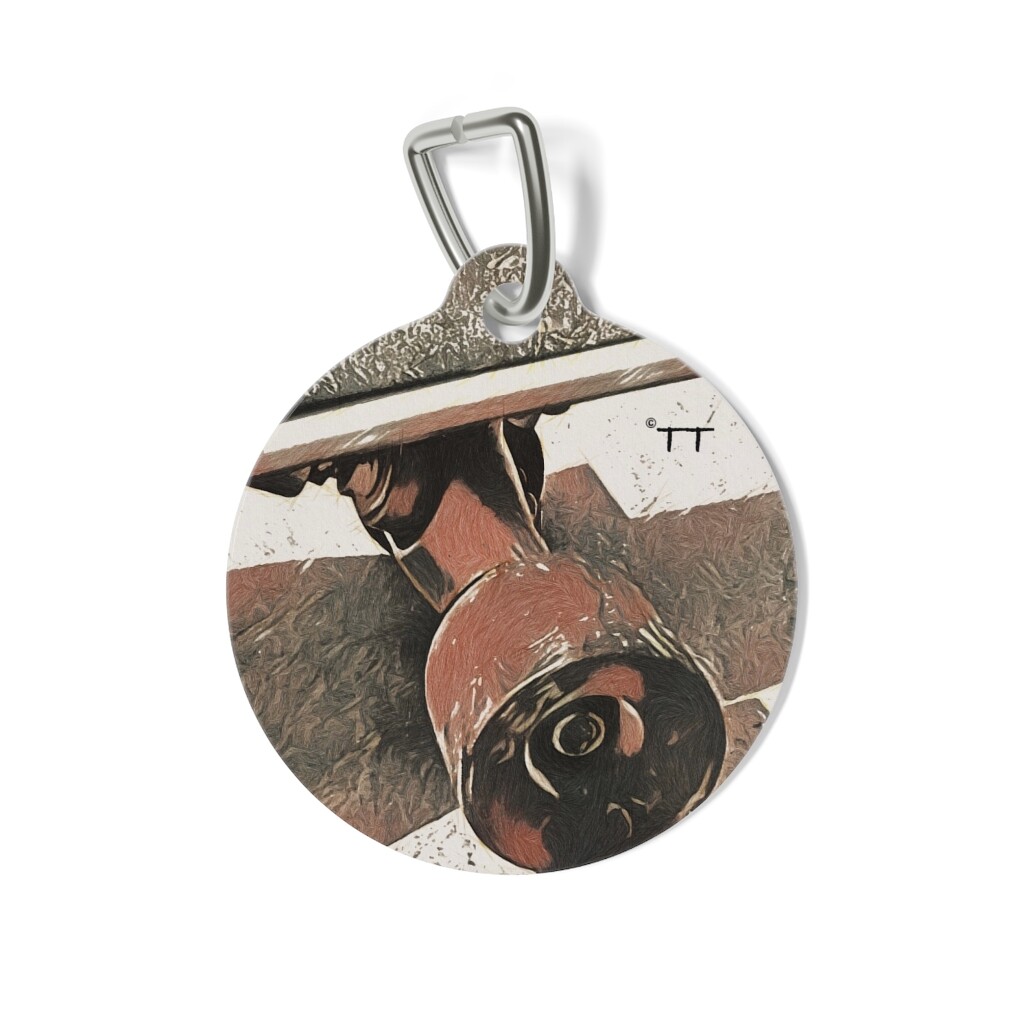 Retro S Board/Pet Tag/Original/Pop Art/Pet Wearable Art