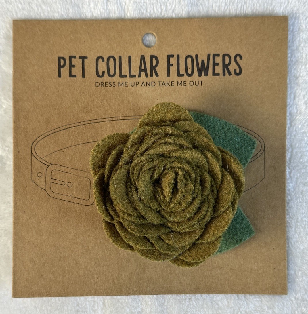 NEW Santa Barbara Green Flower Pet Collar Charm Large G5580 Design Studio Floral