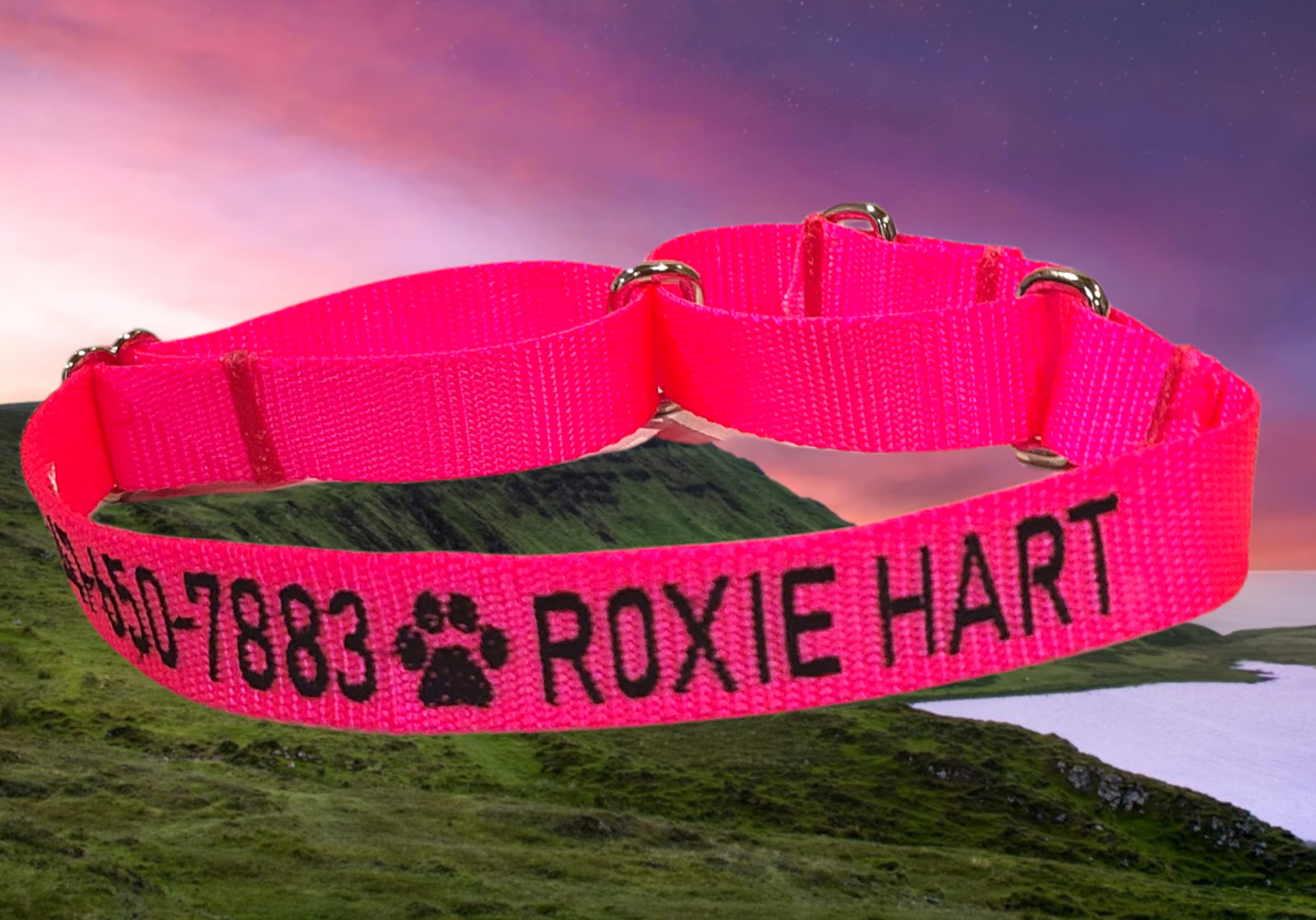 PERSONALIZED Embroidered Martingale Dog Collar Pet ID Tag – Name and Phone!