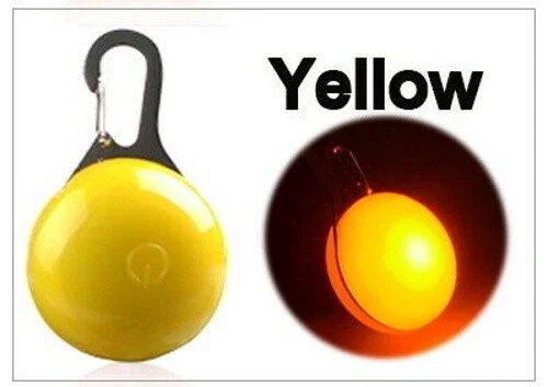 LED Flashing Clip On Pedant Night Light Pet Safety Dog Cat Collar – Choose