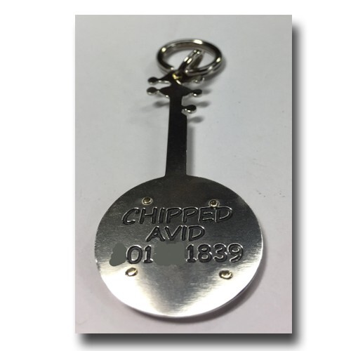 Banjo Pet ID Dog Name Tag Free Engraving Brass Nickel Silver Music Lover Dog Tag