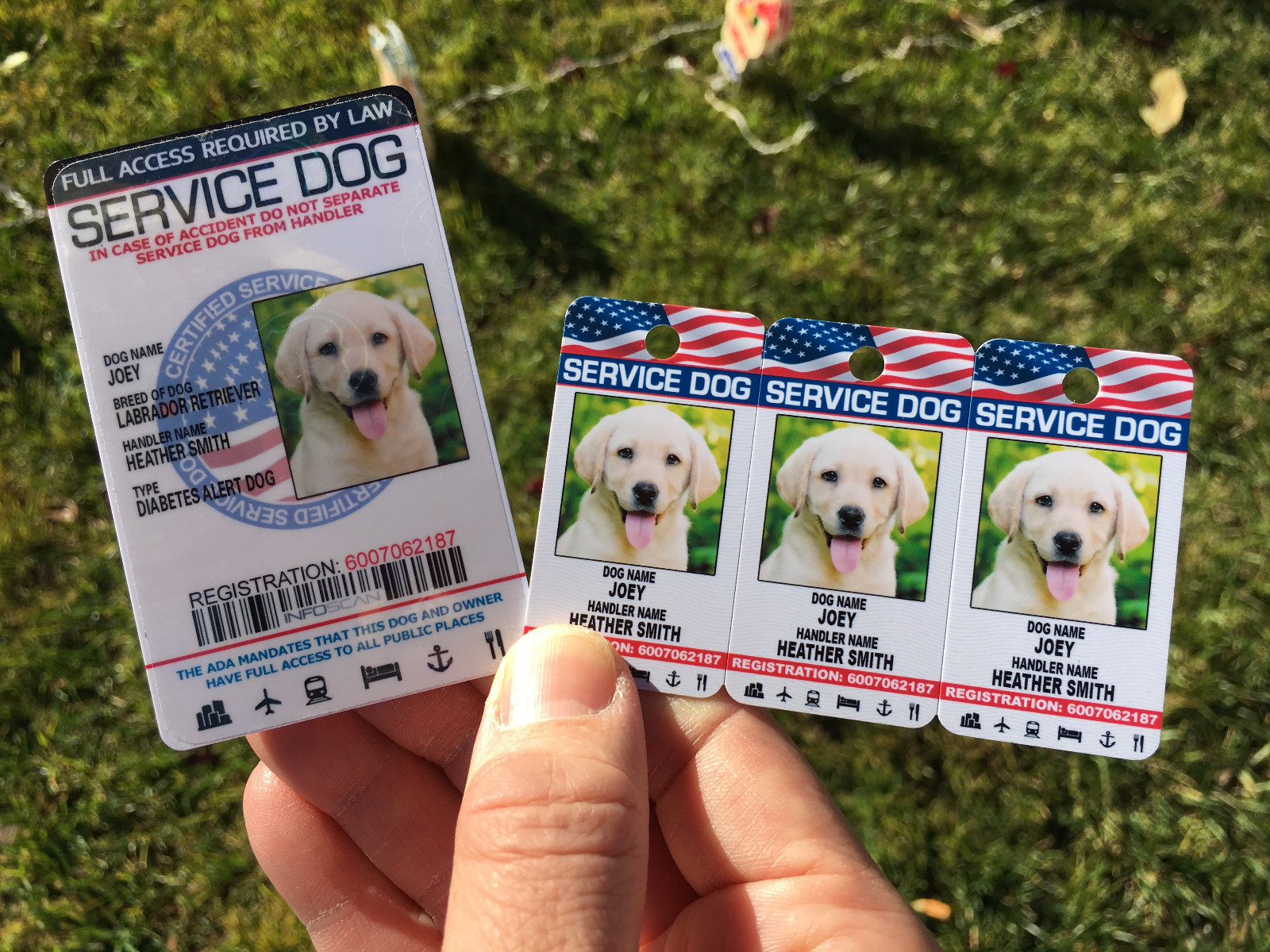 Service Dog Holographic Id Card + Keychain Collar TAG + Online Registration