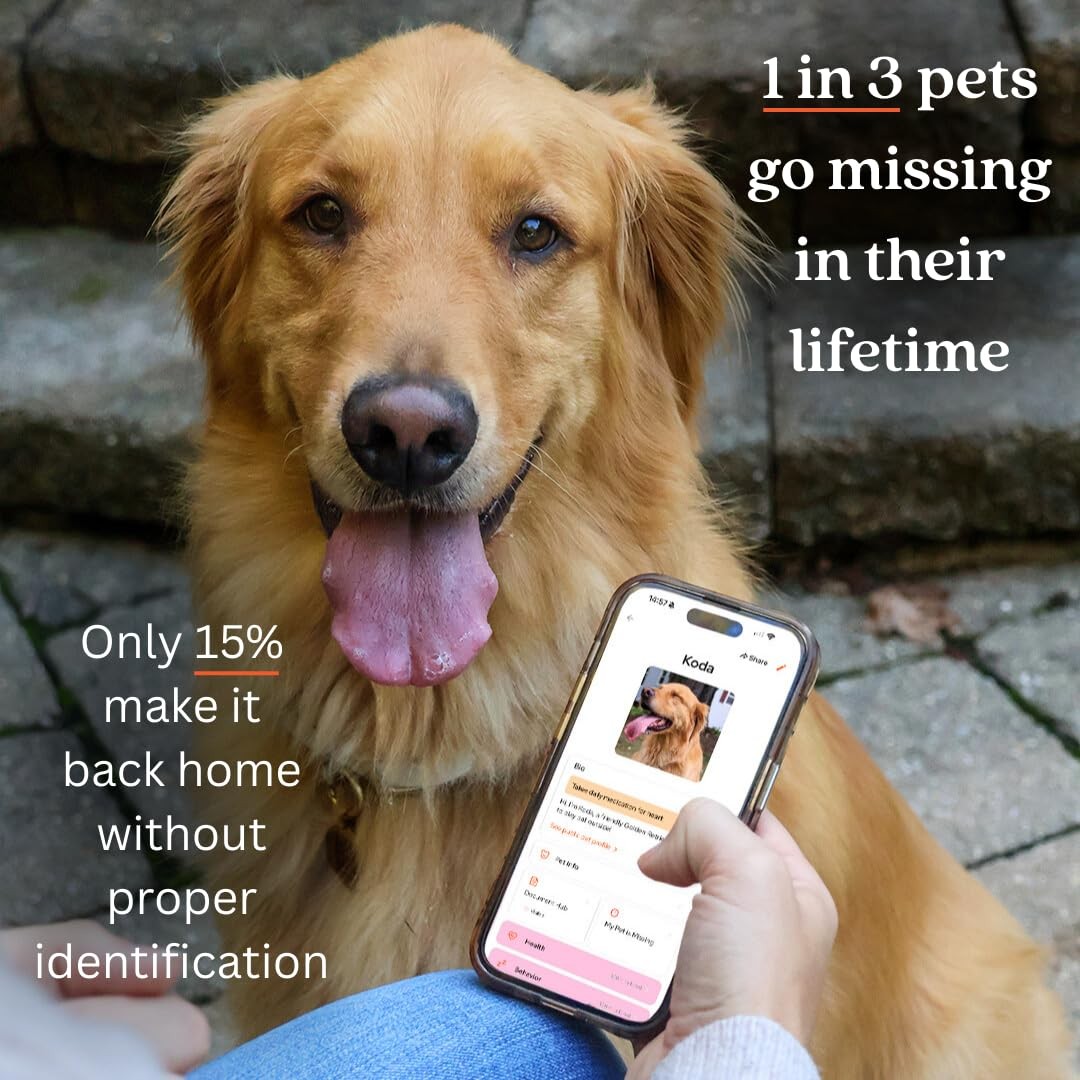 Slide-On Pet ID QR Tag, Gold-Plated Military-Grade Steel, Includes Free Digit…