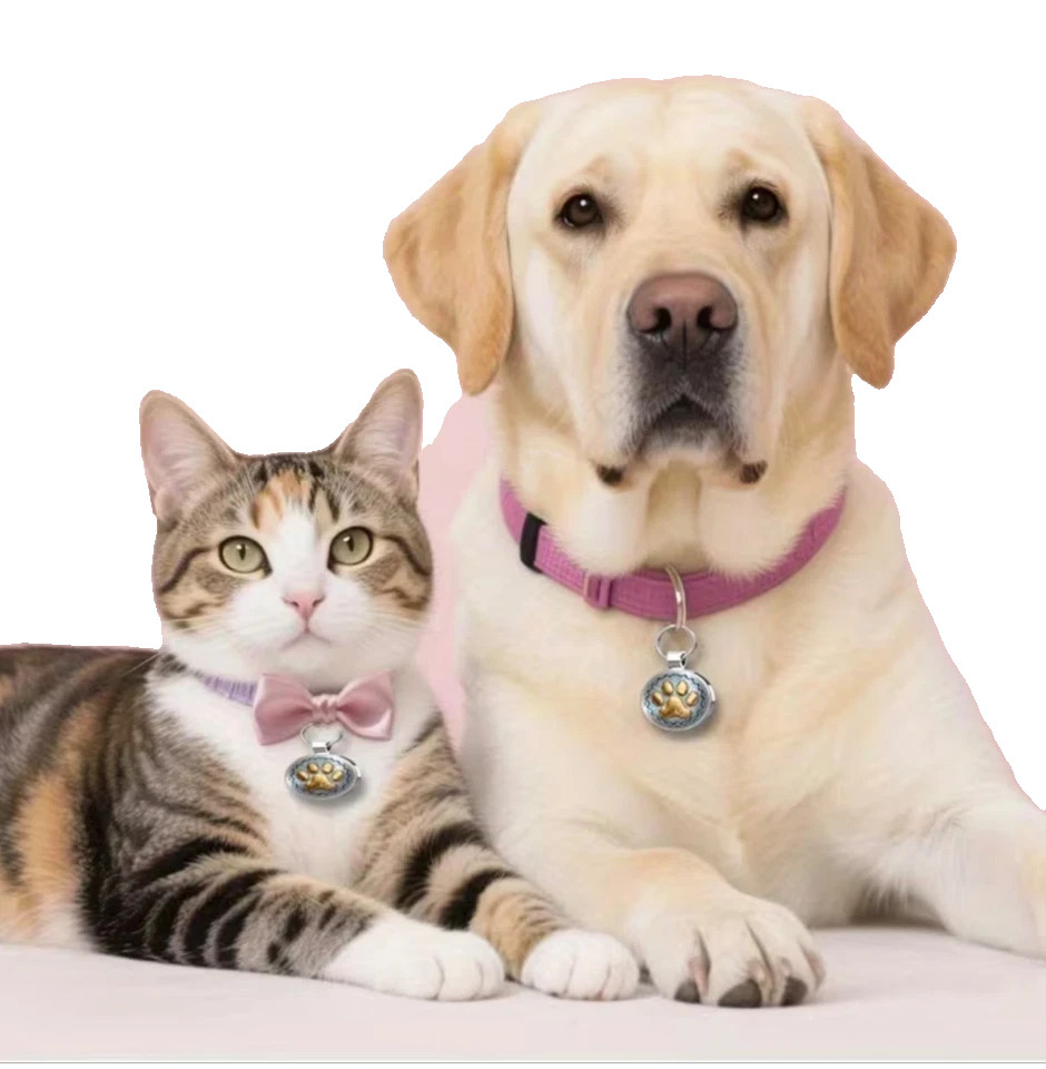 Pet Tag With QR Code- Gold Paw on Pearl Shell, Scan to Contact Owner!