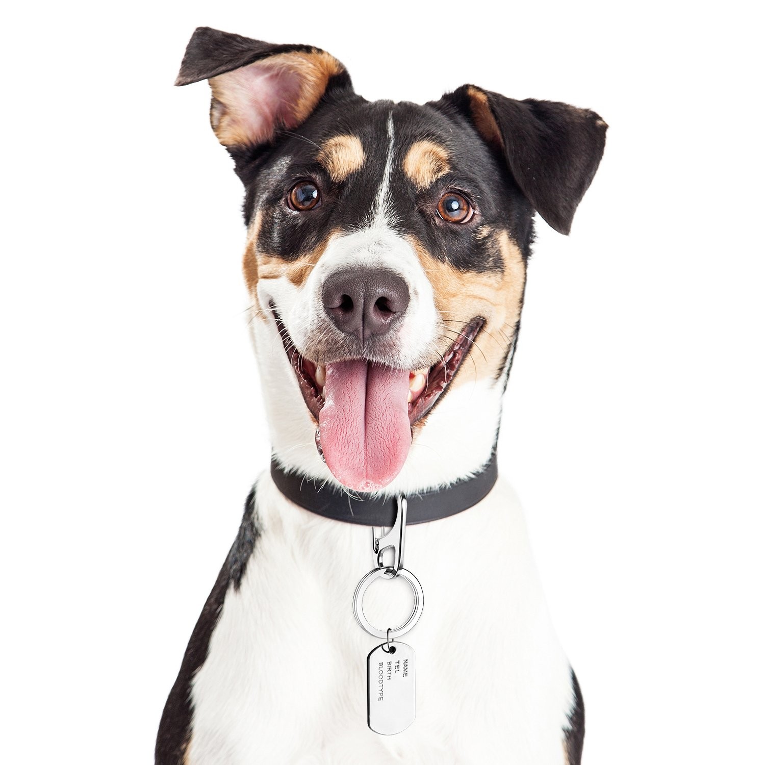 Dog Tag Clip ID Tag Holder with Rings for Dog Cat Collar Harness 3 Sets