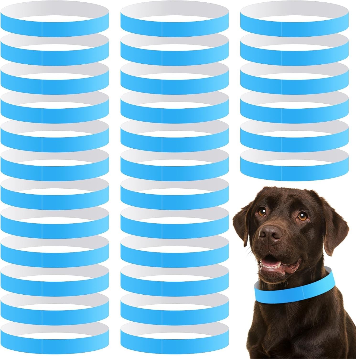 500 Count 20inch Adjustable Paper Dog Collars with Tear Resistant Waterproof Whe
