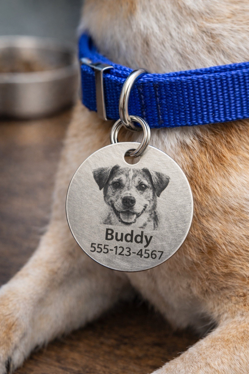 Personalized Dog Tag with Photo Engraving Custom Pet ID Necklace Stainless Steel