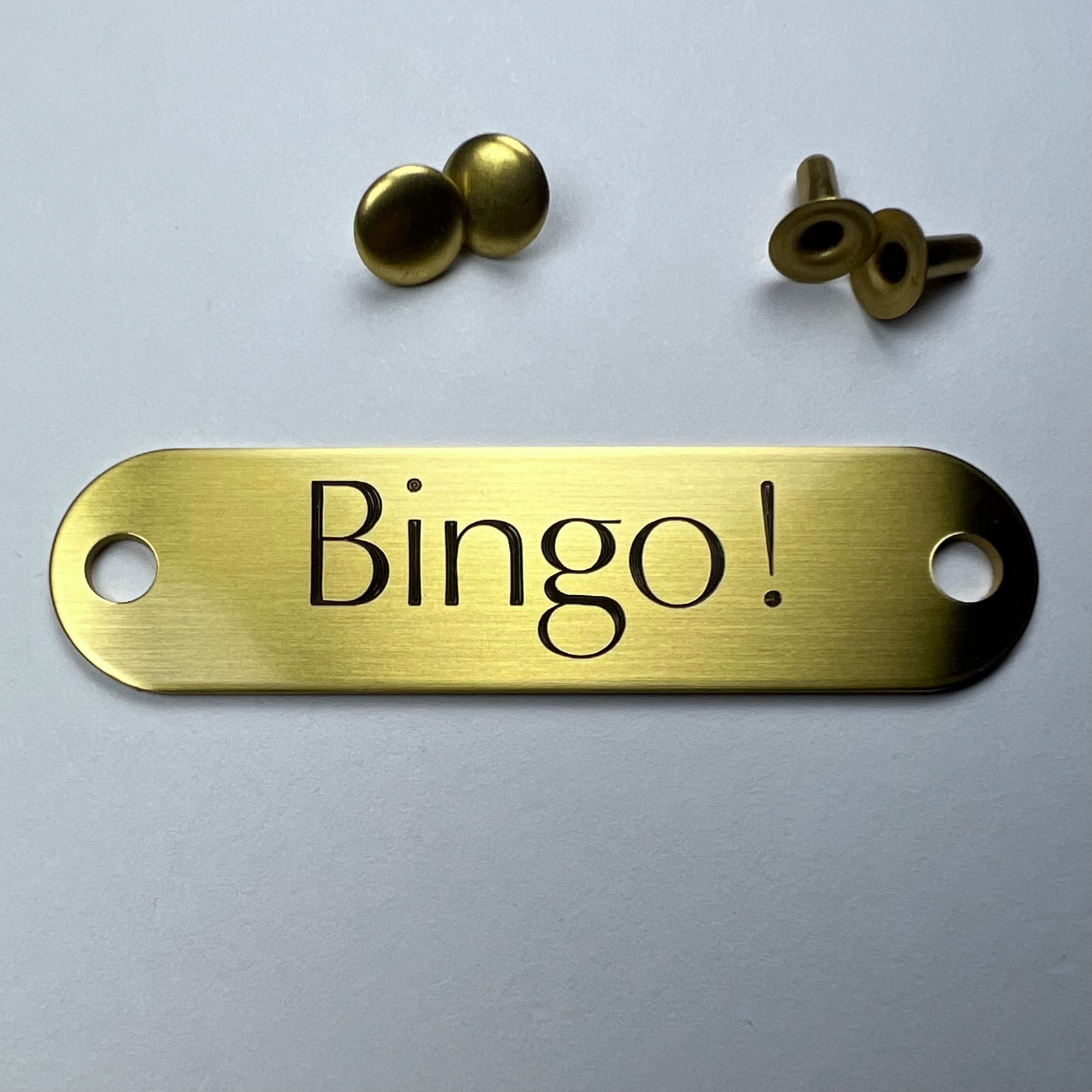 Custom Engraved NAME PLATE Engraved Dog Tags Personalized DOG COLLAR Tags BRASS