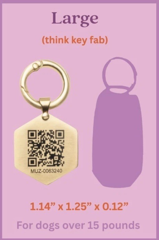 Tailr Smart QR Code Dog Tag, Pet ID Tag with App, Lost Pet Recovery, LARGE