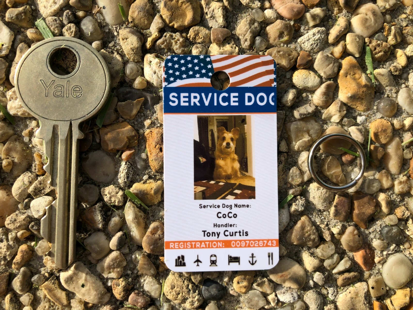 SERVICE ESA PTSD THERAPY DOG KEY OR COLLAR TAG FOR ADA & FHACT SERVICE ANIMALS p