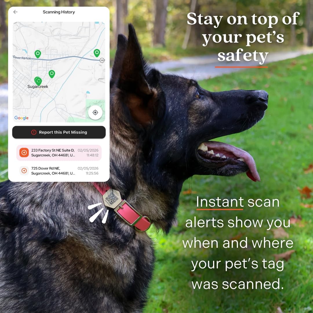 Slide-On Pet ID QR Tag, Gold-Plated Military-Grade Steel, Includes Free Digit…
