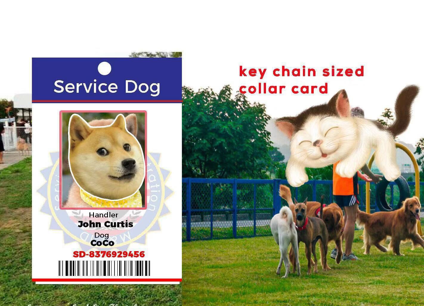 SERVICE ESA PTSD THERAPY DOG KEY OR COLLAR TAG FOR ADA & FHACT SERVICE ANIMALS p