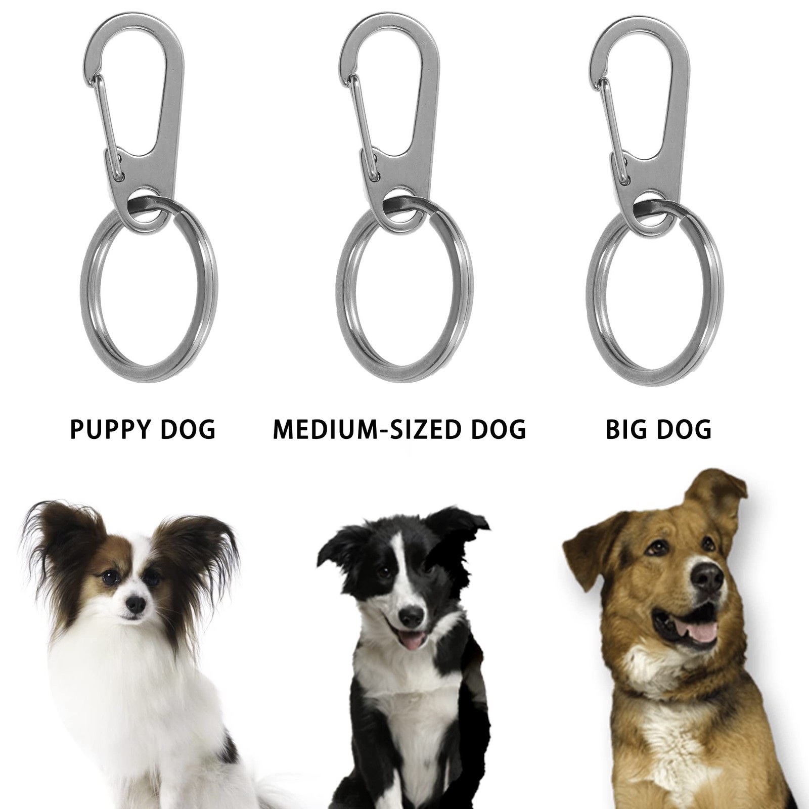 Pet ID Tags, Pet Tag Quick Clips, Dog Tags and Cat Tags Collar Rings, Tag Cli…
