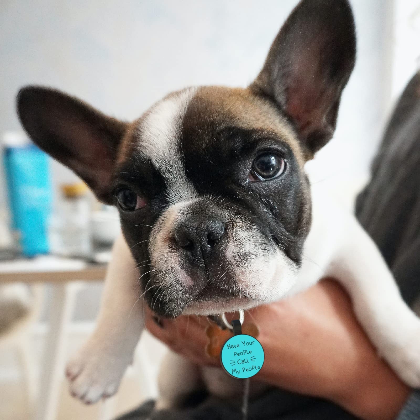 QR Code Dog Cat Silicone Digital ID Tag Online Pet Profile Location Alert