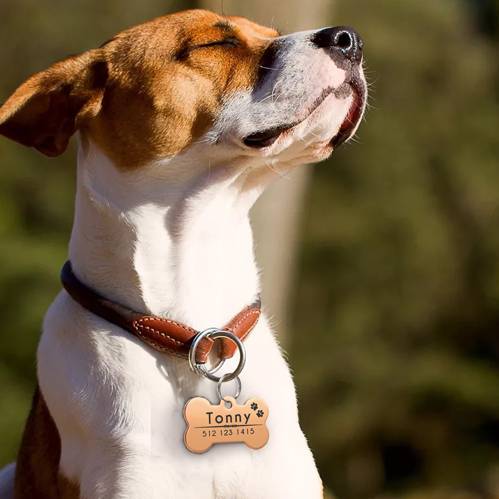 Double Sides Custom Personalized Dog ID Tags Name Phone Address Engrave for FREE