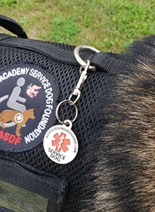 Double Sided Service Dog Chrome Tag, ADA Access Required Federal Law Clip Tag…