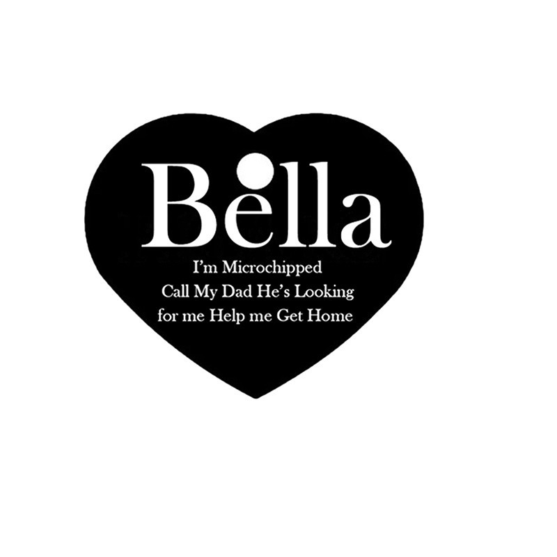 Custom Heart Aluminum Pet ID Tag Engraved Placa Corazon Perro Gato 2 Sizes USA