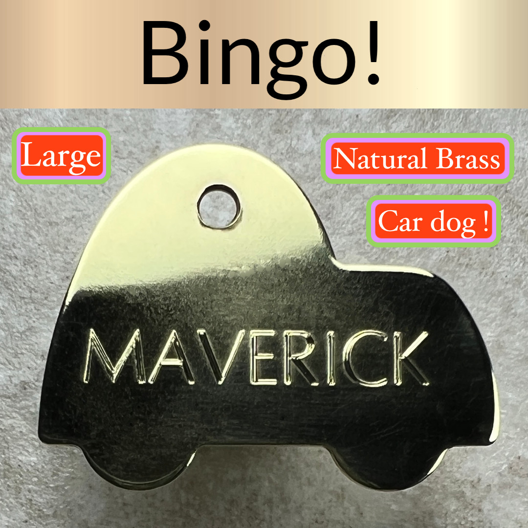 Custom Engraved Dog Tags Personalized Dog Collar Pet Tags Pet SPEED RACER BRASS