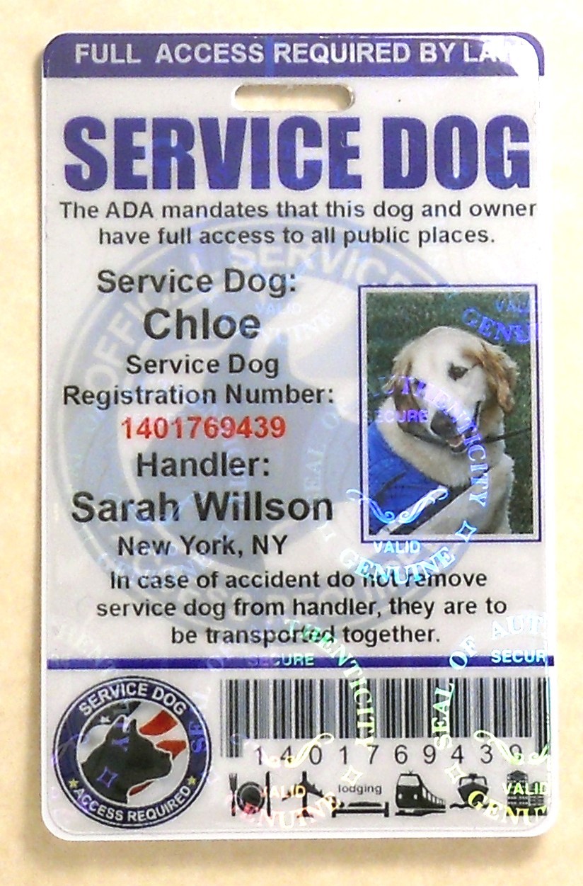HOLOGRAPHIC PVC SERVICE DOG ID BADGE SERVICE ANIMAL ID CARD ADA TAG FOR VEST #0H