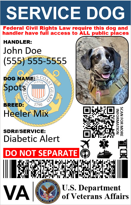HOLOGRAPHIC VETERAN MILITARY SERVICE DOG ID 1 SIDE ONLY PHYSICAL & DIGITAL