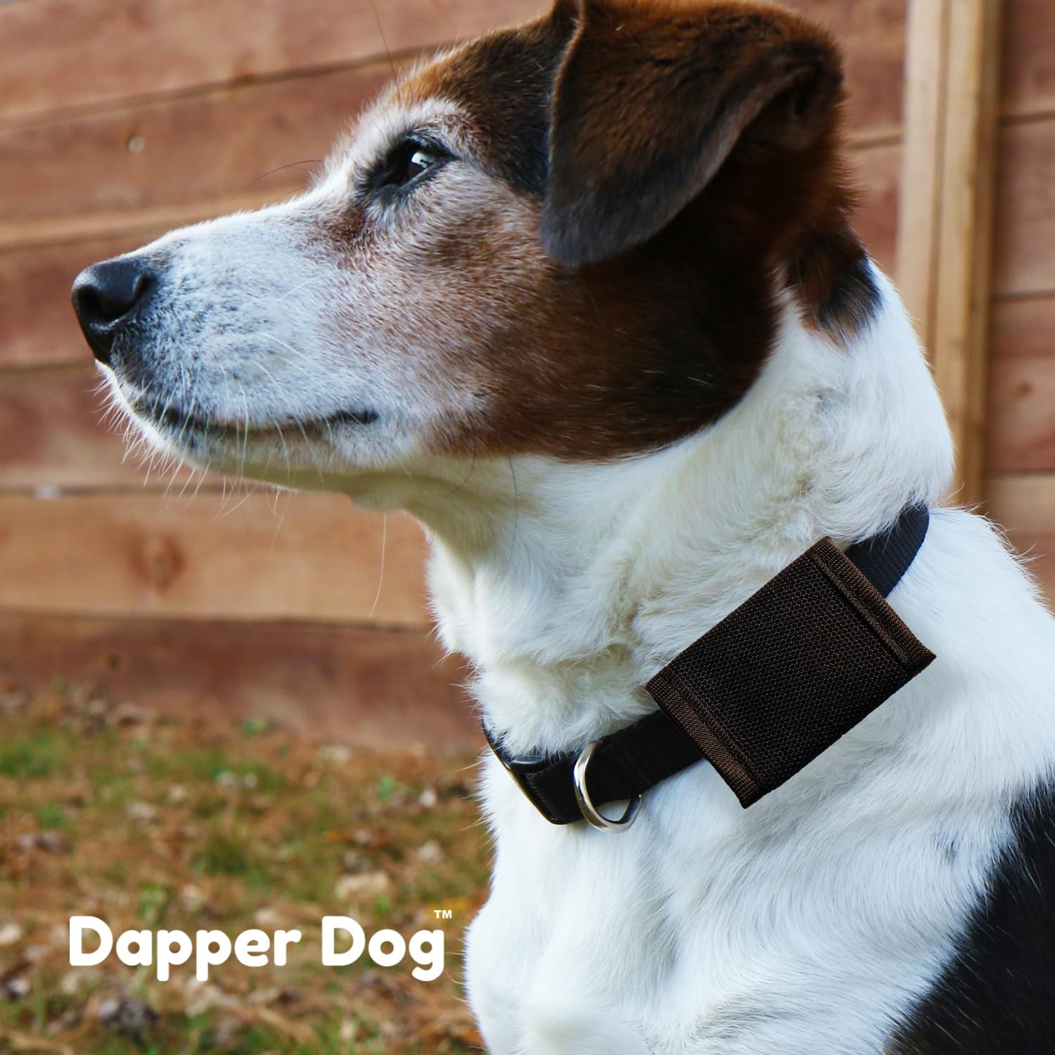 Dapper Dog Pet Tag Silencer Ballistic Nylon Black