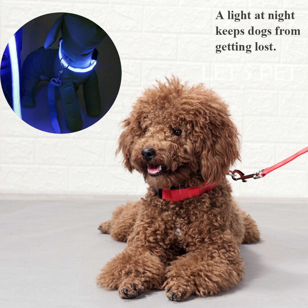 Pet Dog LED Collar Night Flashing With ID Name Tag Custom Engraved Double Side