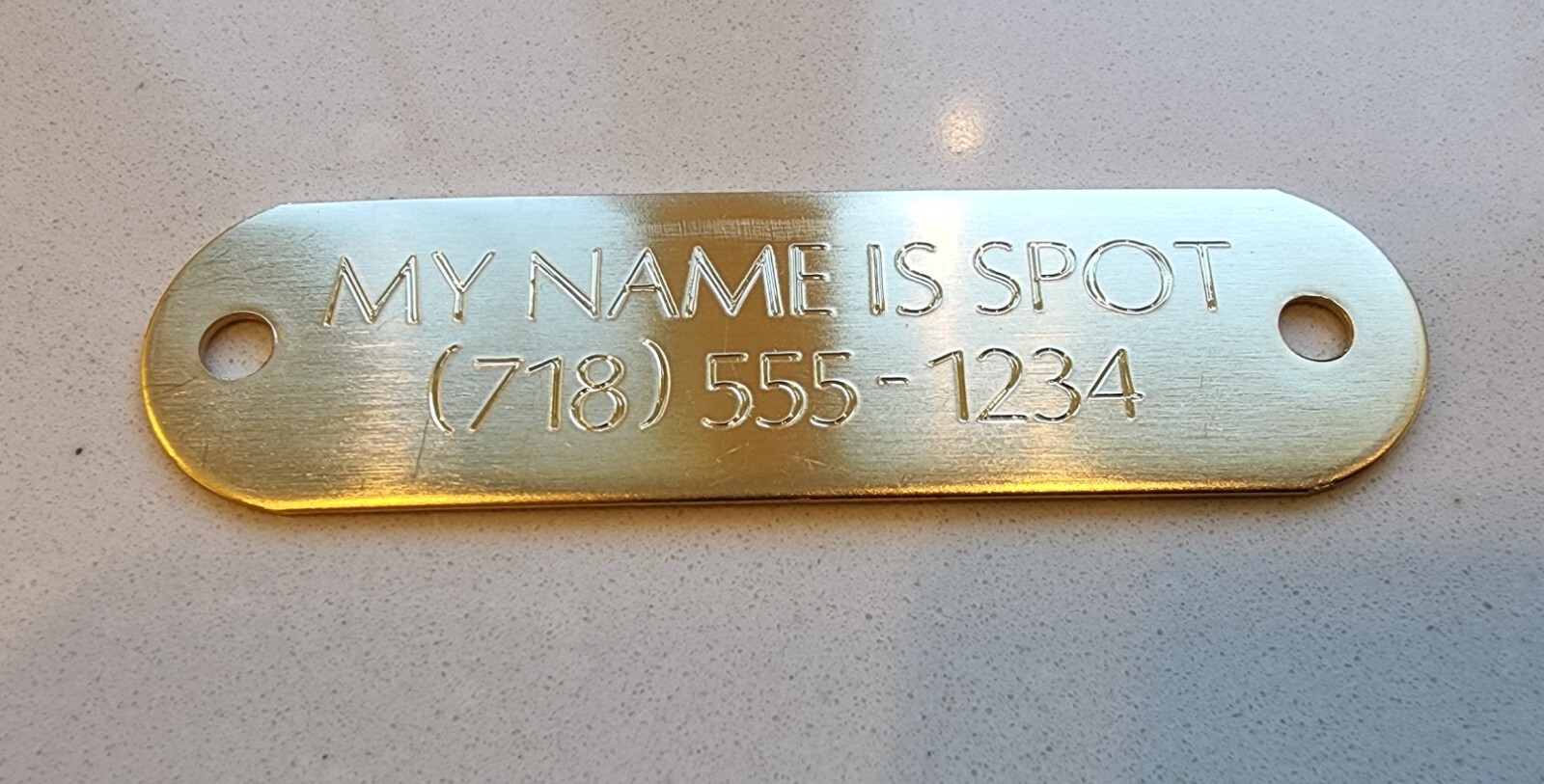 BRASS RIVET PET TAG ID FOR DOG COLLAR NAME ENGRAVED PLATE.