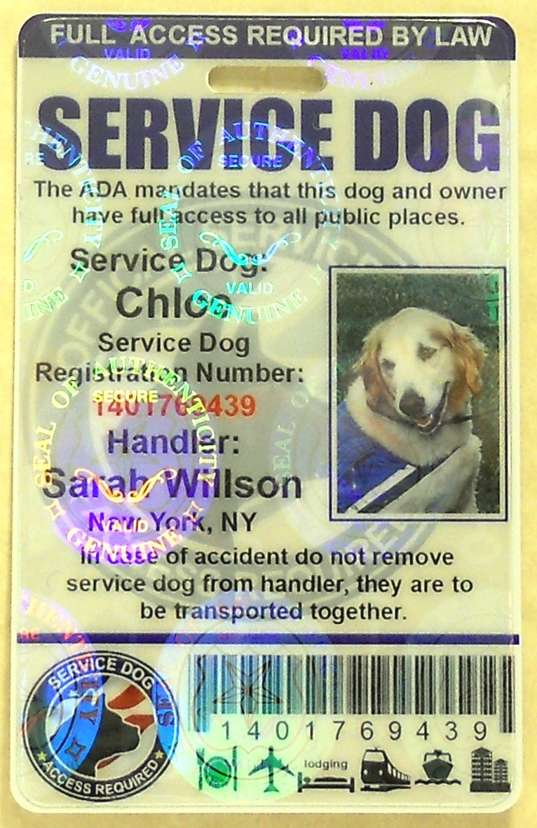 HOLOGRAPHIC PVC SERVICE DOG ID BADGE SERVICE ANIMAL ID CARD ADA TAG FOR VEST #0H