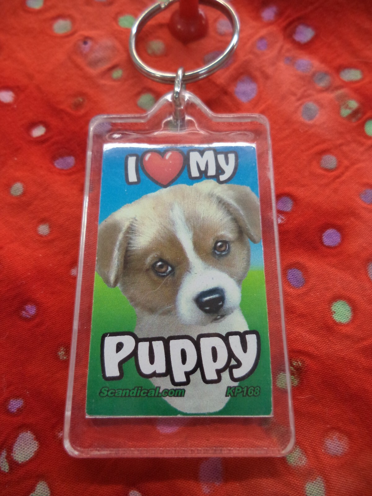 SCANDIAL PET KEY CHAINS – DOUBLE SIDED – I LOVE MY __DOG__ YOU PICK BREED! #1